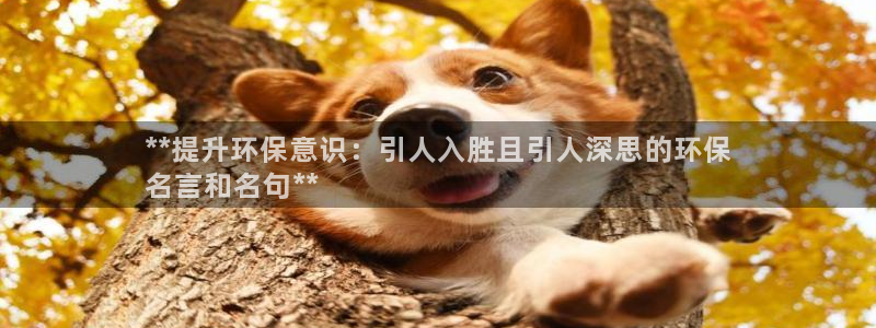 jdb电子爆奖视频