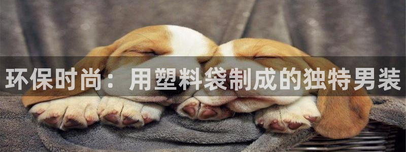 jdb电子游戏金刚