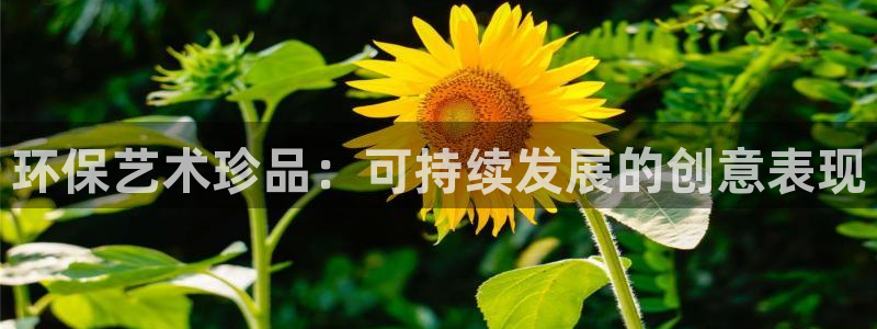 jdb电子龙舞大奖视频
