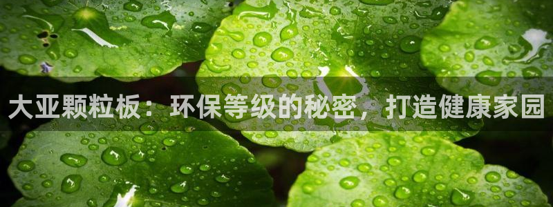 JDB游戏官方网站