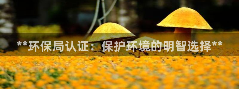 jdb五龙捕鱼哪个平台好