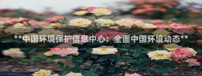 电子游戏平台jdb