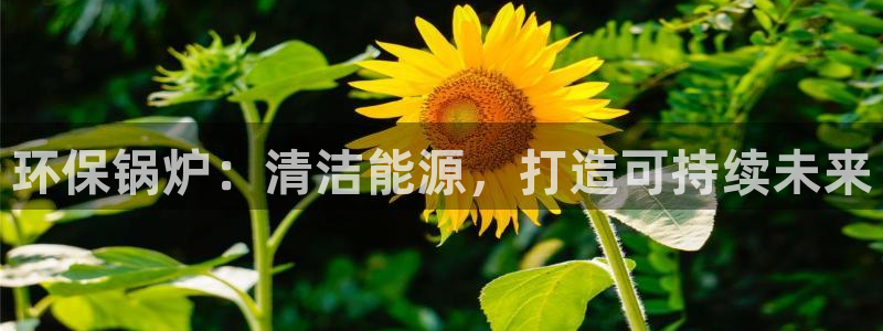 jdb电子游戏爆大奖图片