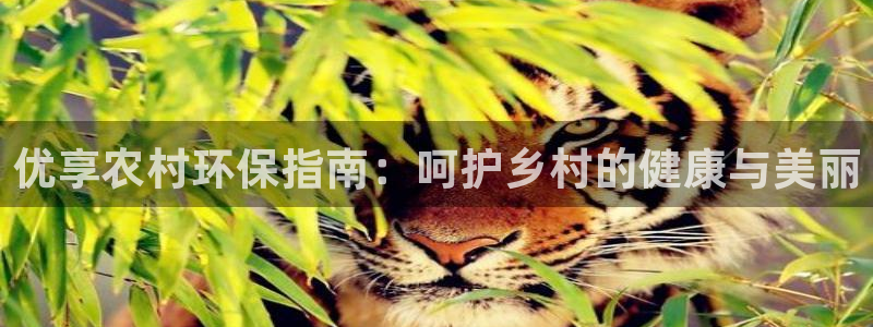 jdb电子开户官网
