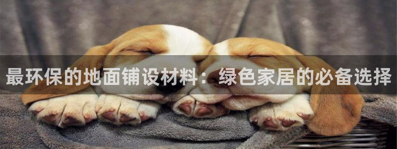 jdb试玩官网
