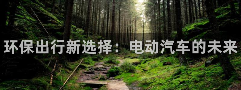 jdb台湾黑熊技巧