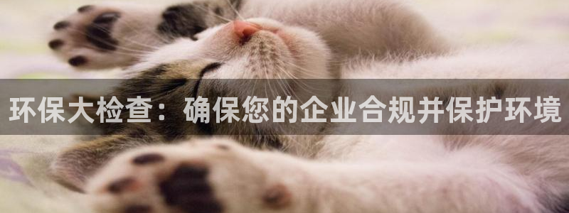 jdb电子金刚视频