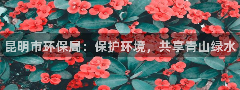 JDB五龙捕鱼平台尙11yb tv捕