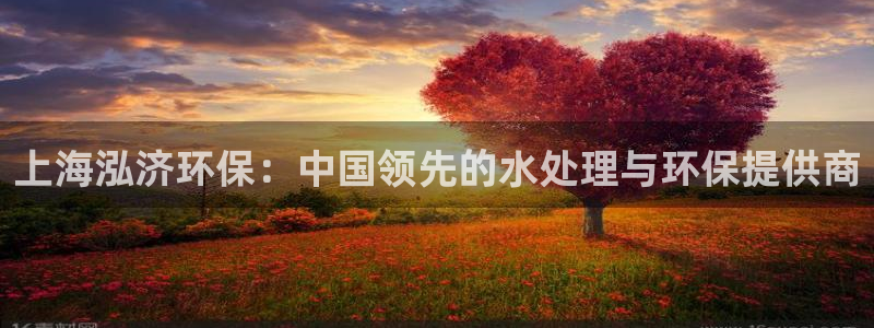 电子游艺jdb变脸