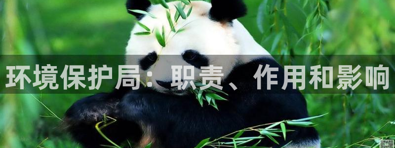 JDB平台临时维护