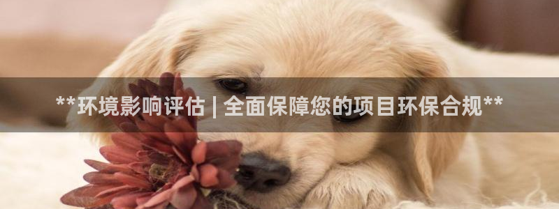 jdb网址多少