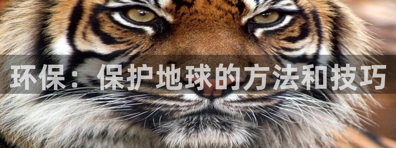 jdb电子官网官方网站