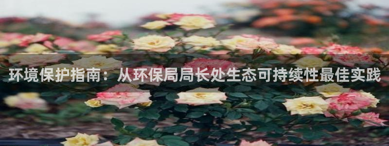 jdb电子变脸2技巧