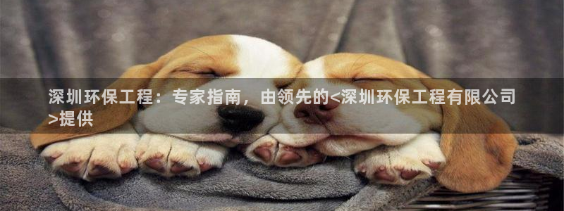 jdb是什么公司
