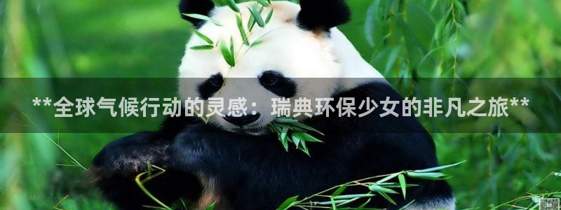 jdb电子游戏辅助器