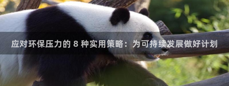 JDB平台聚宝盆打法