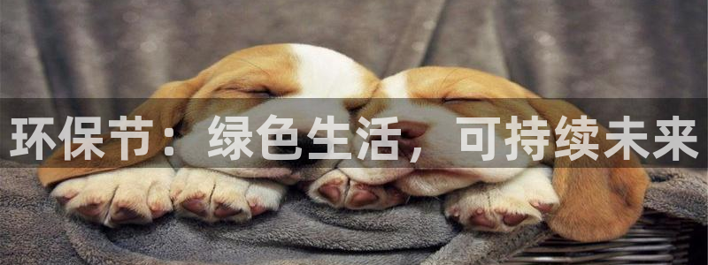 jdb电子平台下载