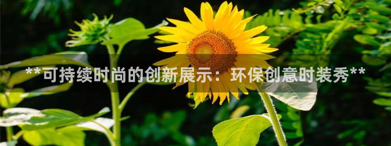 JDB电子游戏飞鸟派对宝箱