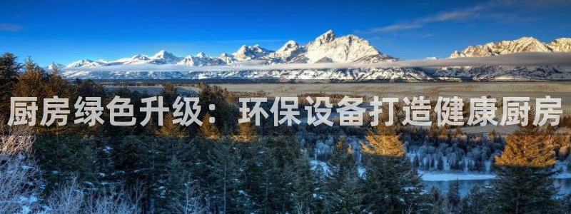 JDB电子游戏飞鸟派对