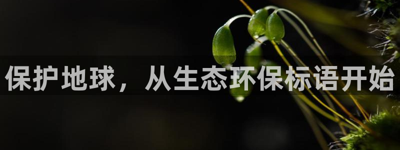 jdb试玩2000