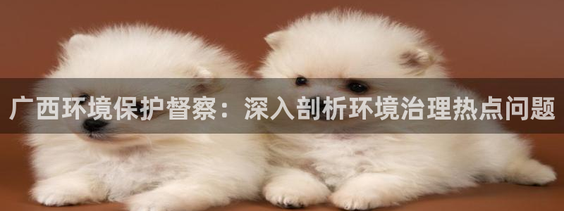 jdb电子麻将胡了