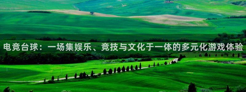 易游电竞：电竞台球：一场集娱乐、竞技与文化于一体的多元化游戏体验