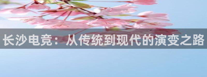 易游电竞：长沙电竞：从传统到现代的演变之路