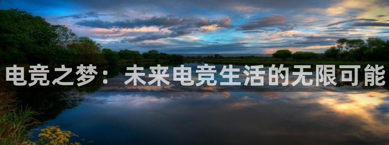 易游电竞