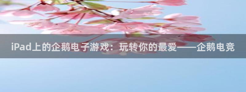 易游电竞