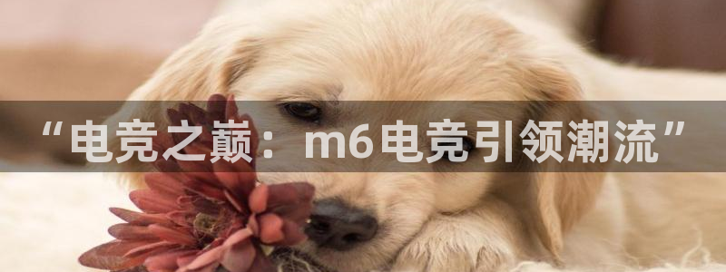 易游电竞