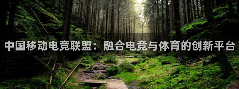 易游电竞